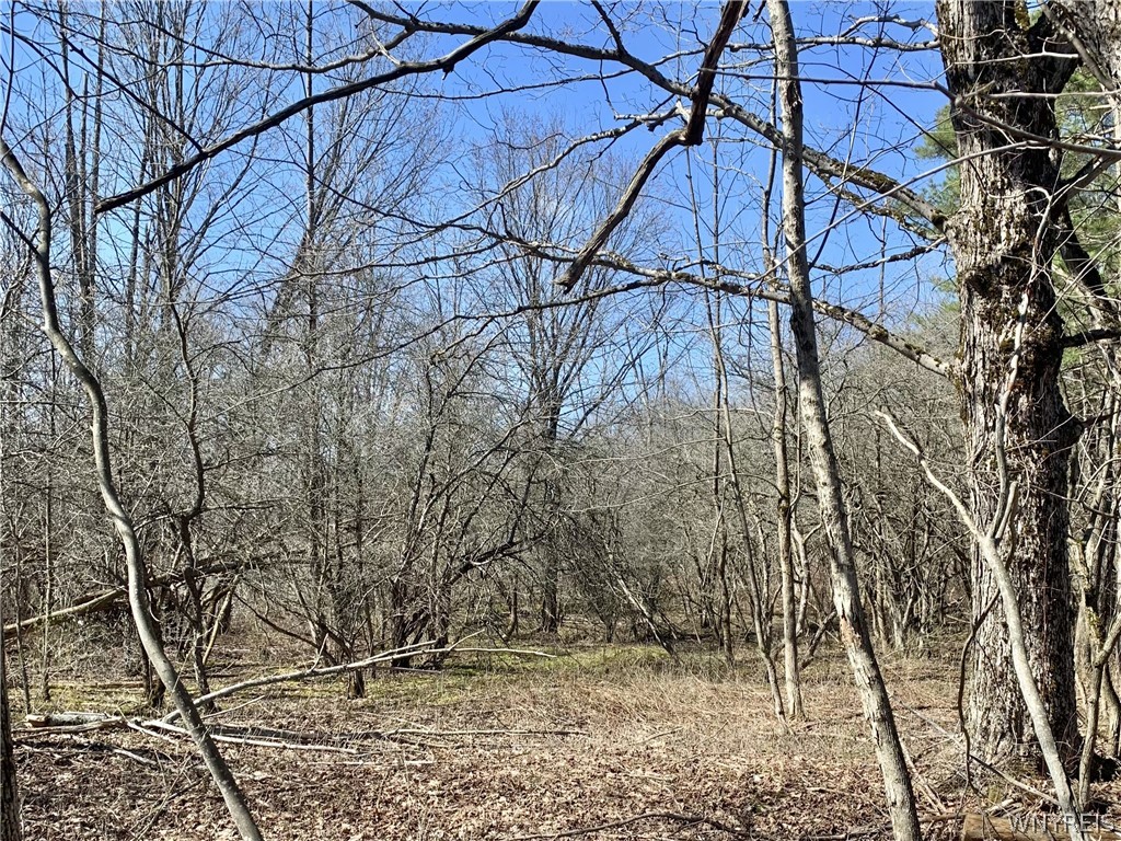 6320 Stinson Road Arcade, NY 14009 - Photo 16 of 21