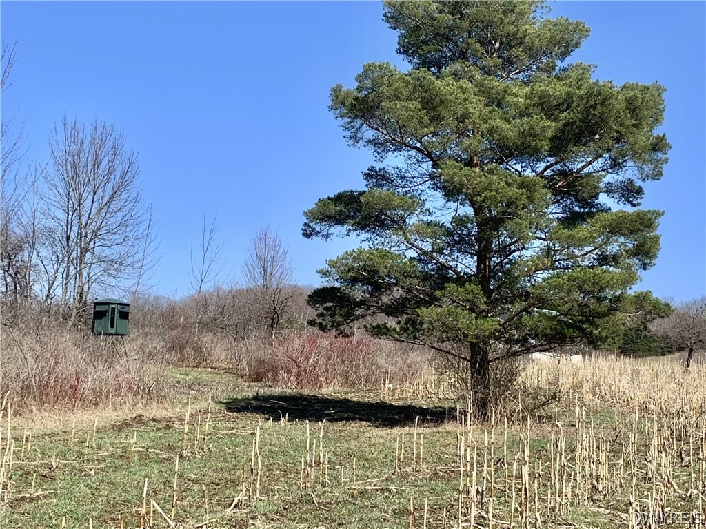 6320 Stinson Road Arcade, NY 14009 - Photo 18 of 21