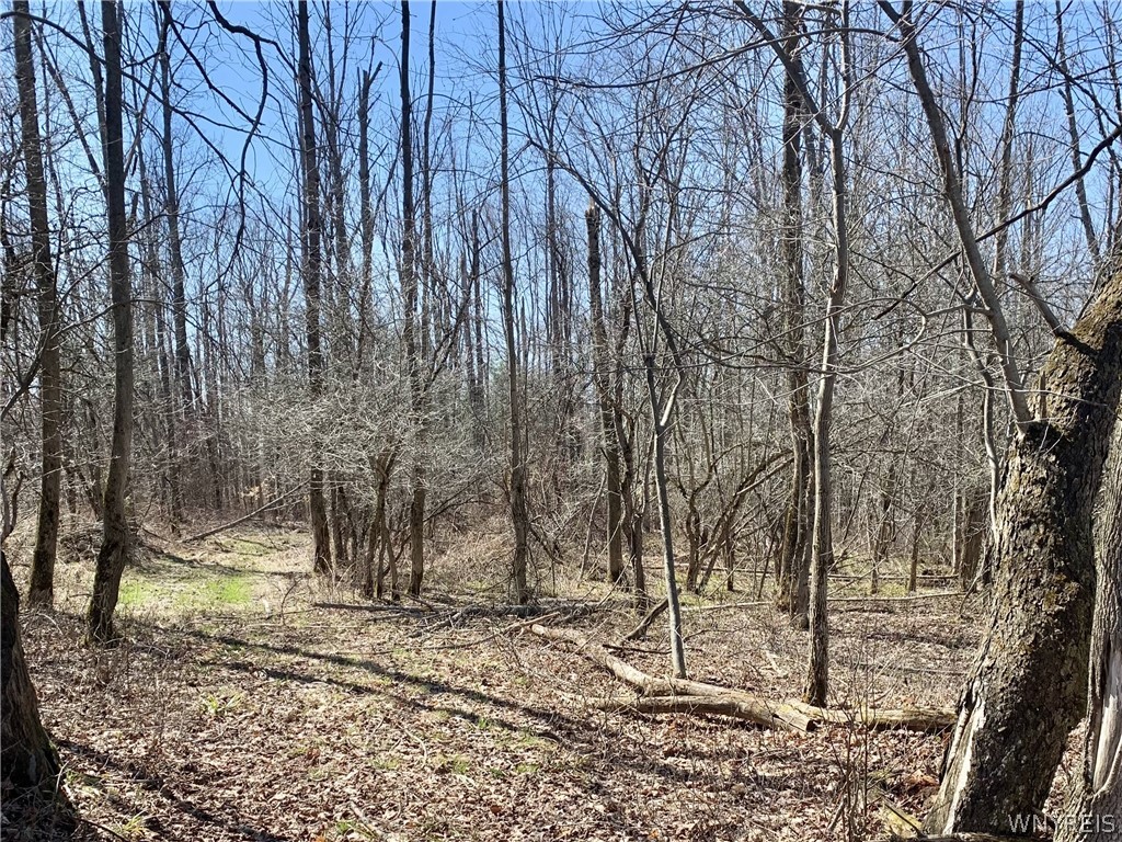 6320 Stinson Road Arcade, NY 14009 - Photo 2 of 21