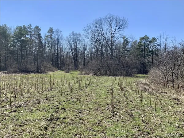 $350,000 | 6320 Stinson Road, Arcade, NY 14009