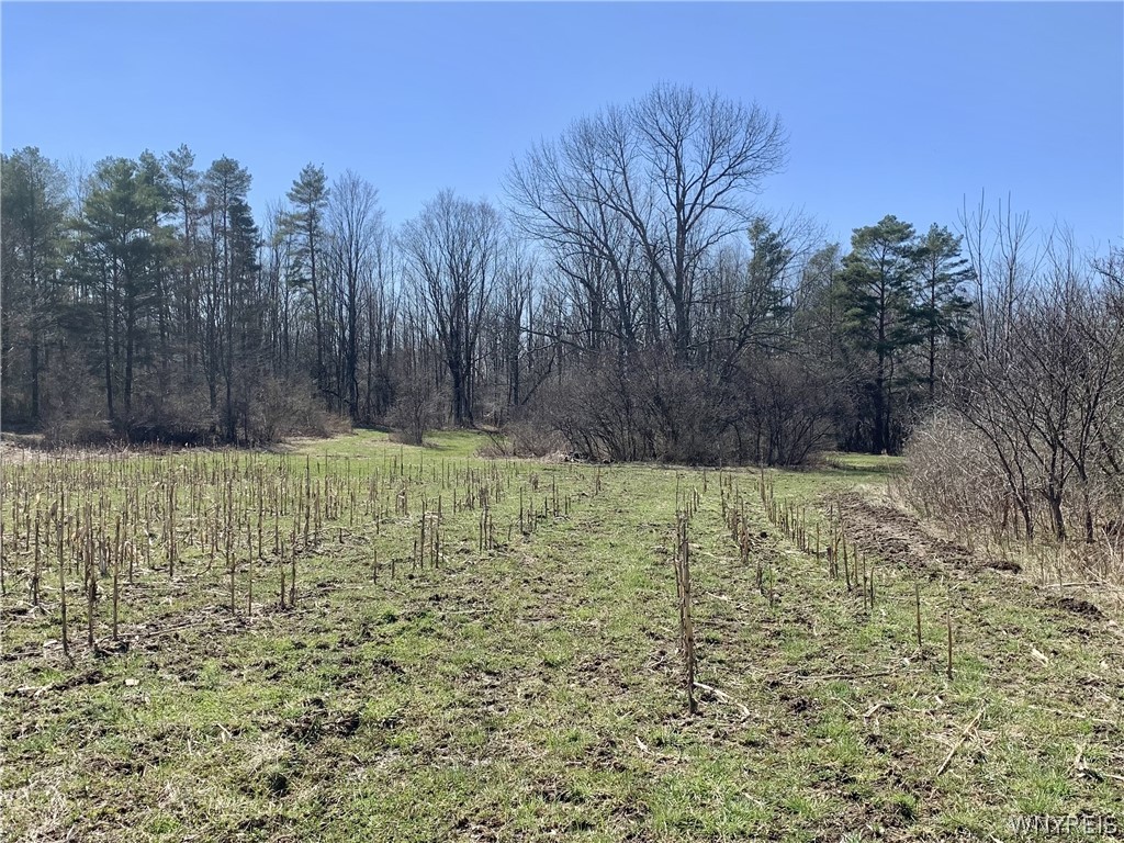 6320 Stinson Road Arcade, NY 14009 - Photo 4 of 21