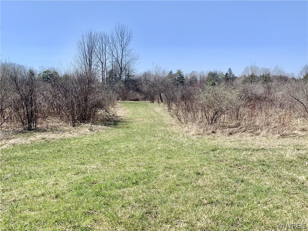 6320 Stinson Road Arcade, NY 14009 - Photo 10 of 21