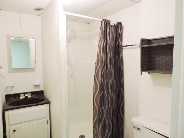 956 Gratton Road Clarksville, TN 37043 - Photo 13 of 16 Bathroom in finished basement.