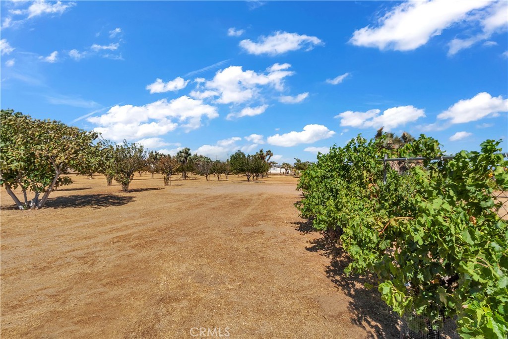 9379 Middleton Road Phelan, CA 92371 - Photo 30 of 36