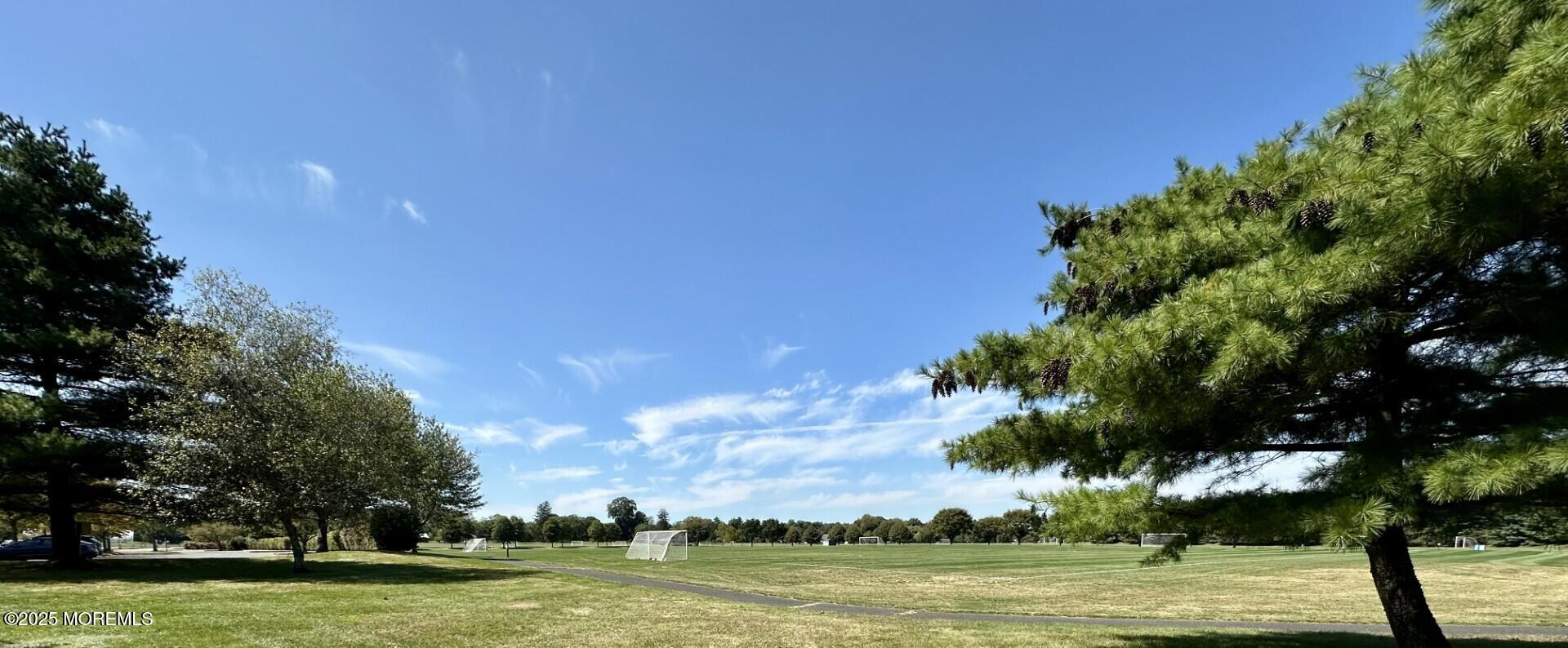 72 Main Street Holmdel, NJ 07733 - Photo 38 of 45 a view of a large trees with a big yard