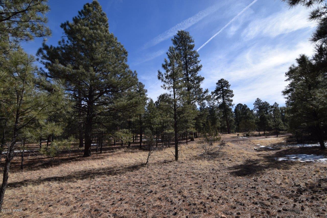 Tbd Mud Creek Road Overgaard, AZ 85933 - Photo 11 of 11