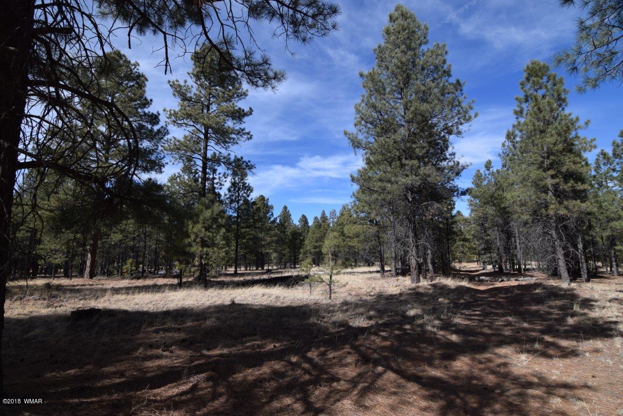 Tbd Mud Creek Road Overgaard, AZ 85933 - Photo 2 of 11