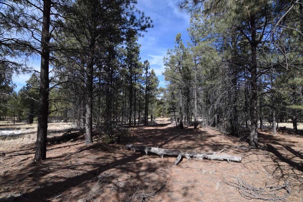 Tbd Mud Creek Road Overgaard, AZ 85933 - Photo 3 of 11