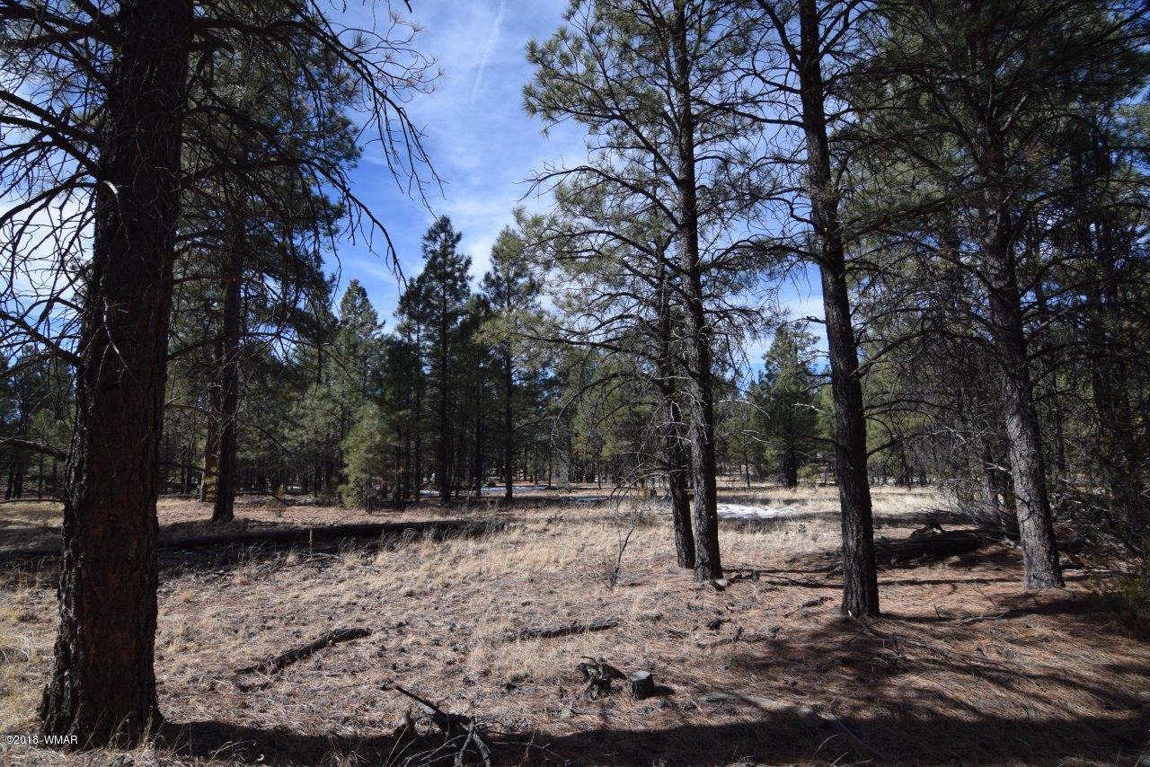Tbd Mud Creek Road Overgaard, AZ 85933 - Photo 4 of 11