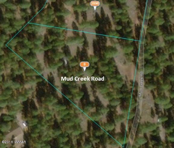 Tbd Mud Creek Road Overgaard, AZ 85933 - Photo 5 of 11
