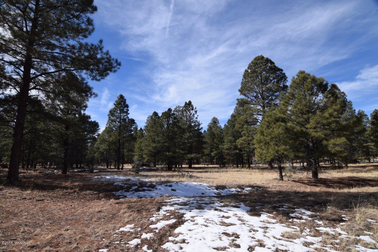 Tbd Mud Creek Road Overgaard, AZ 85933 - Photo 10 of 11