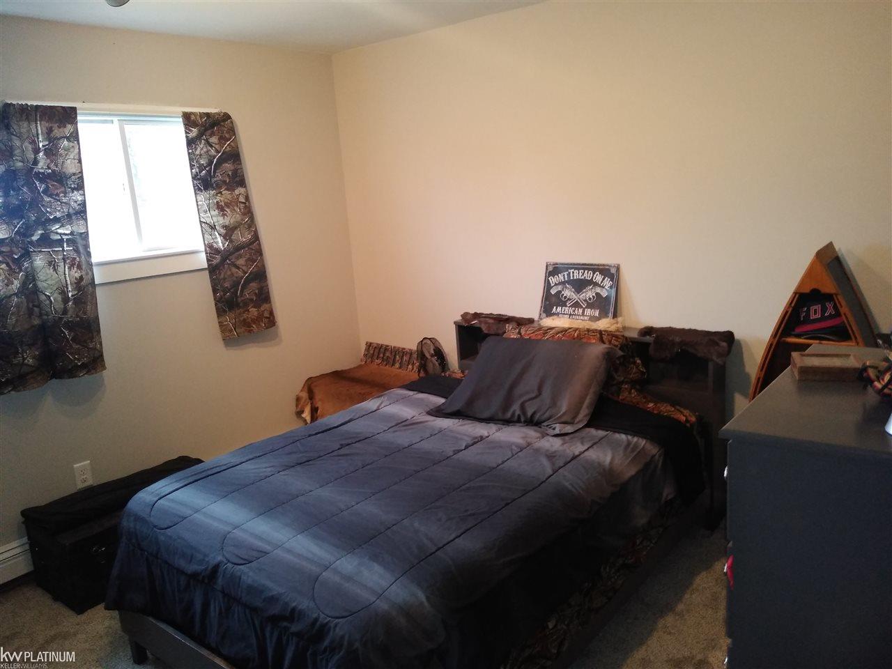 8991 Hill Road Goodells, MI 48027 - Photo 65 of 68 50026967-64.JPG