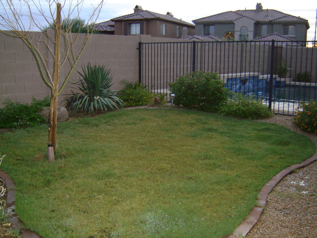 3965 East Hashknife Road Phoenix, AZ 85050 - Photo 5 of 13 backyard