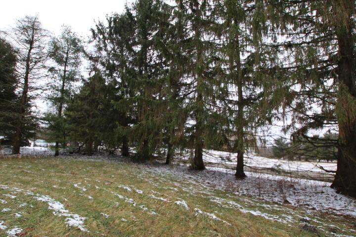 6610 Perry Road Centerburg, OH 43011 - Photo 26 of 28 Gallery Image 26