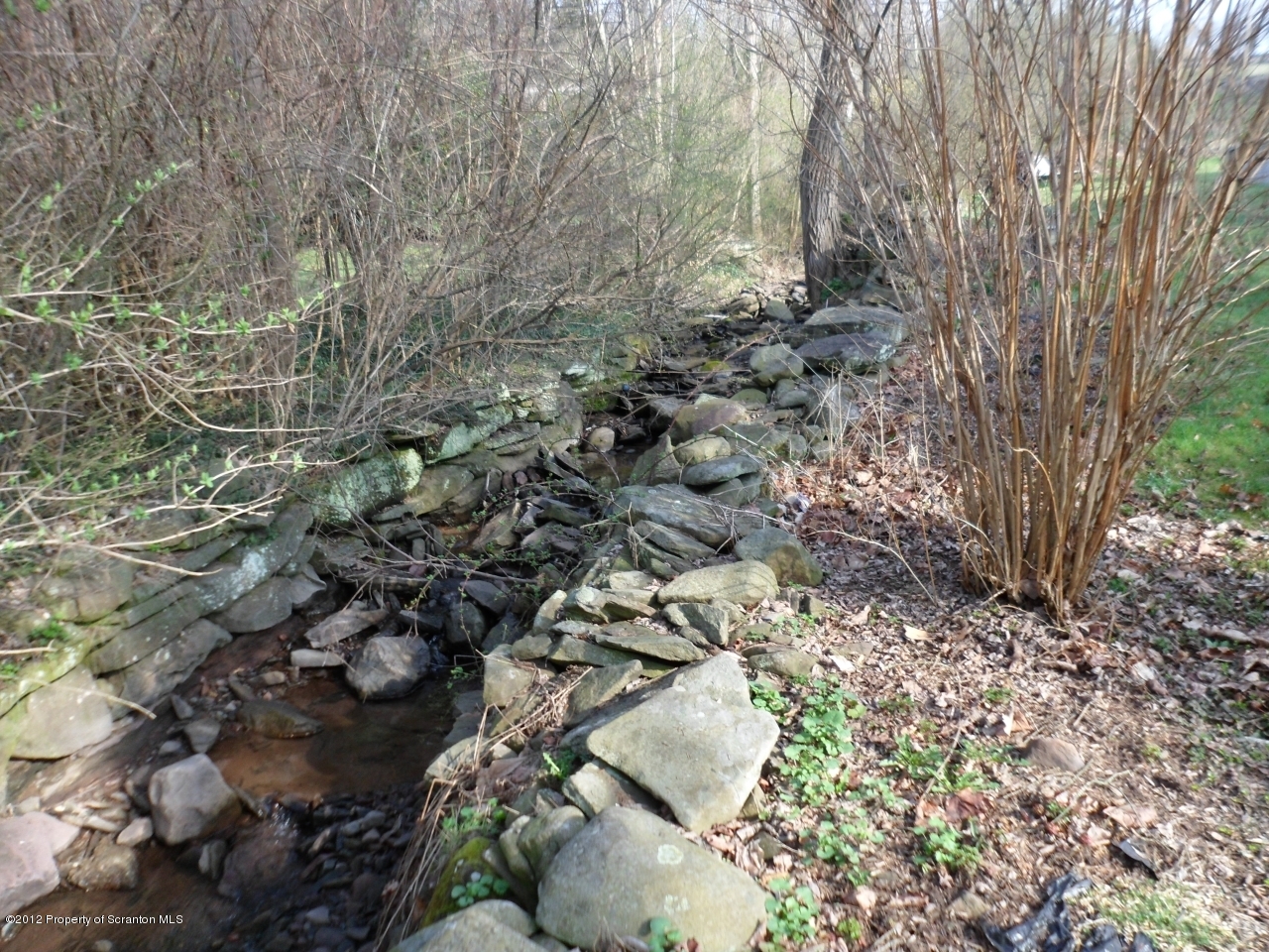 437 North Baker Road Waymart, PA 18472 - Photo 21 of 22 a view of a yard with plants and trees