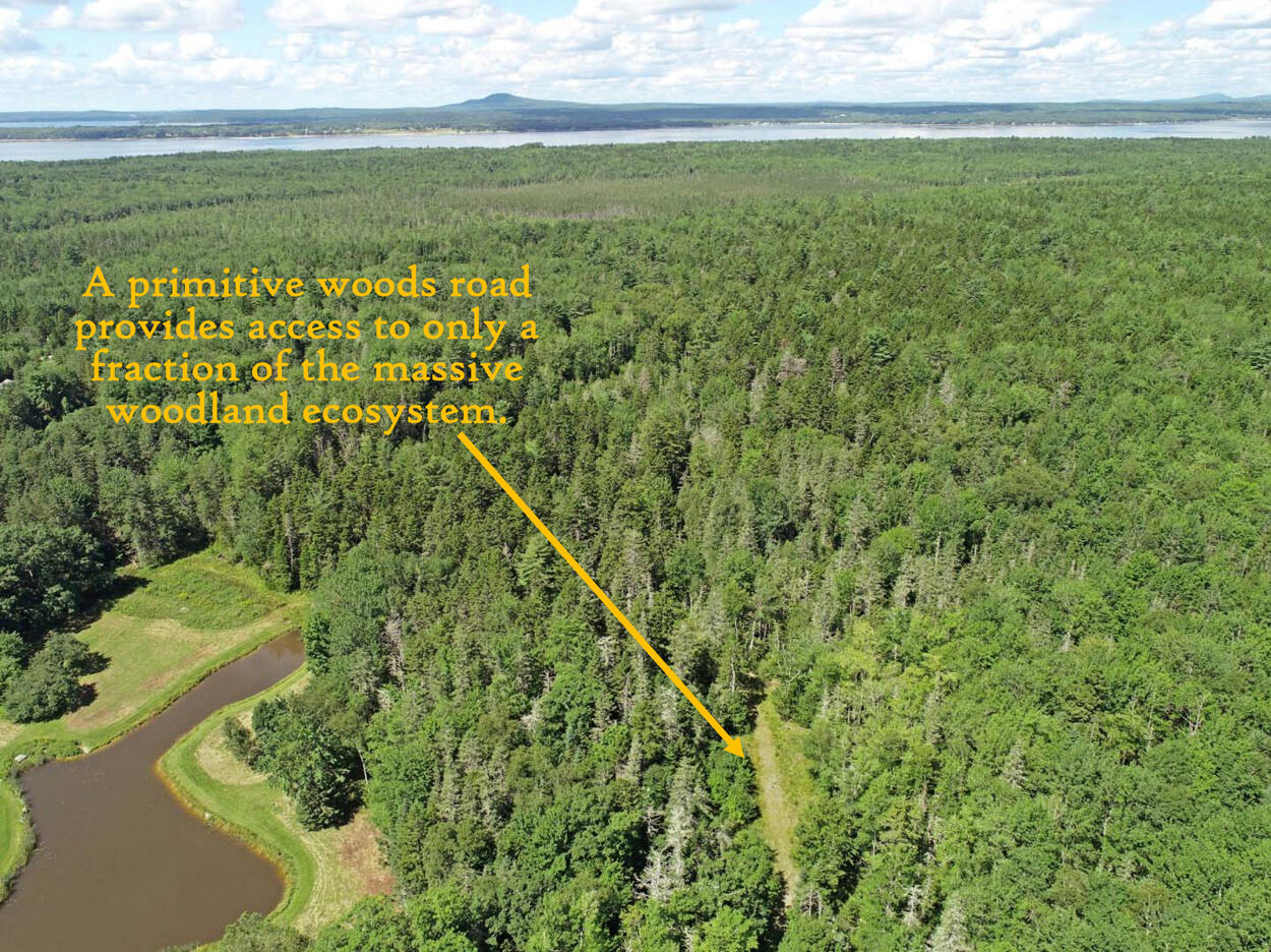 607 Oak Point Road Trenton, ME 04605 - Photo 11 of 187 Wooded Acreage (4), label