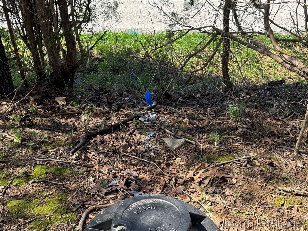 Off East Magnolia Road English, IN 47118 - Photo 6 of 27