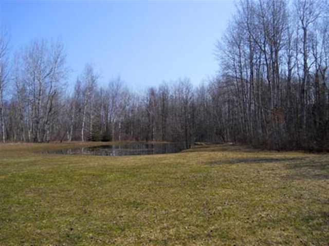 7405 Babcock Road Lexington, MI 48450 - Photo 10 of 28 31050538-9.JPG