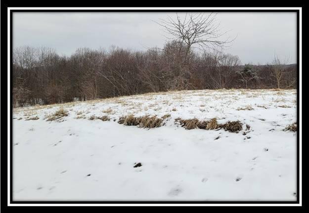 0 Number 12 Hollow Road Wellston, OH 45692 - Photo 23 of 45 image023