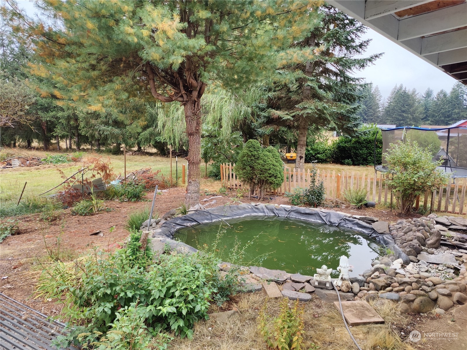 126 Reinseth Road Winlock, WA 98596 - Photo 29 of 33 a view of a backyard with swimming pool