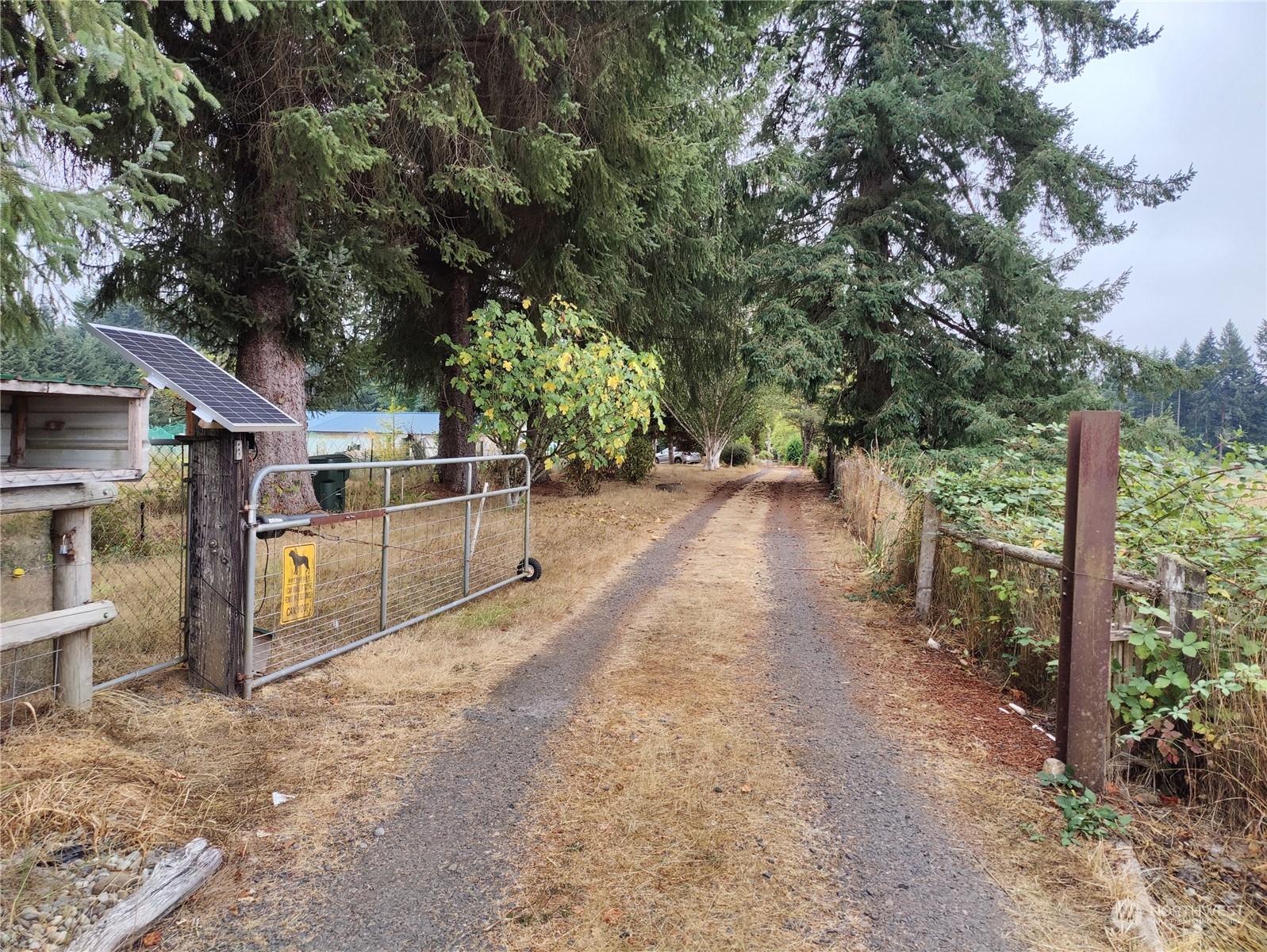 126 Reinseth Road Winlock, WA 98596 - Photo 3 of 33 a view of a backyard