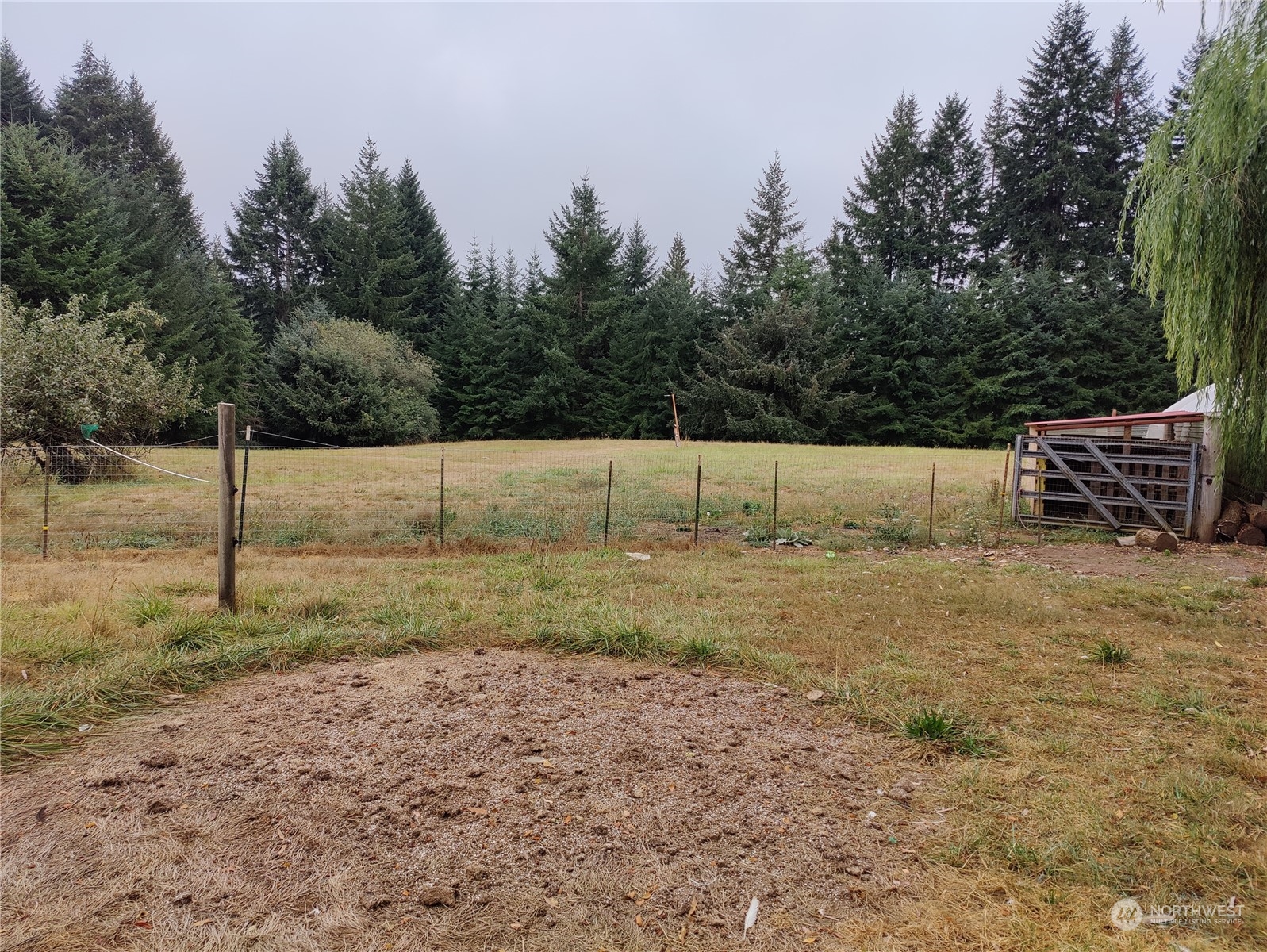 126 Reinseth Road Winlock, WA 98596 - Photo 32 of 33 a view of a backyard