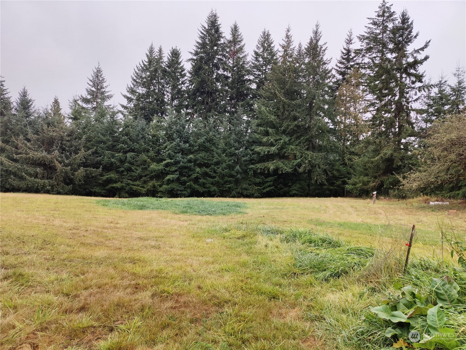 126 Reinseth Road Winlock, WA 98596 - Photo 33 of 33 a view of an outdoor space and a yard
