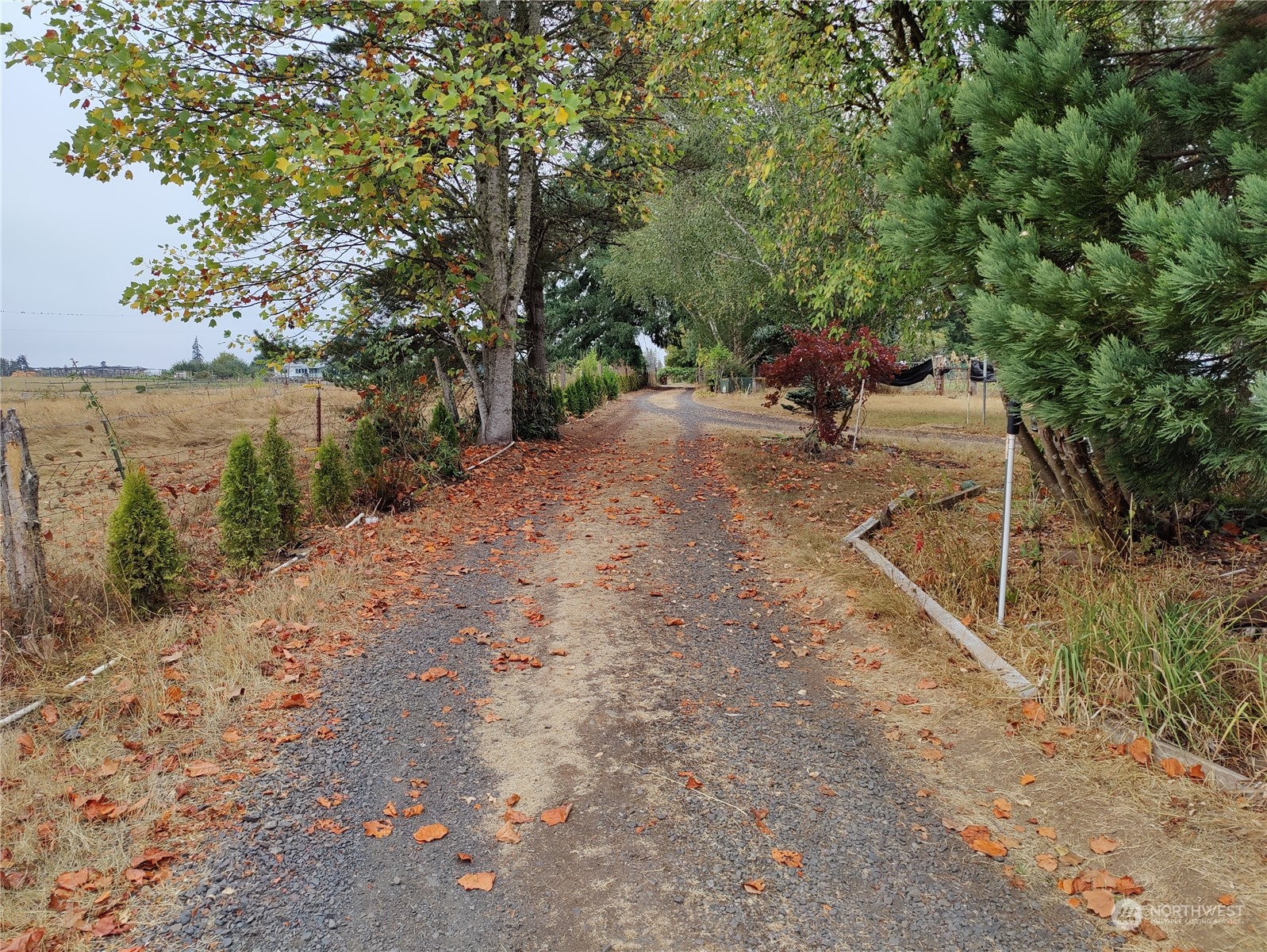 126 Reinseth Road Winlock, WA 98596 - Photo 4 of 33 a view of a road with plants and a bench