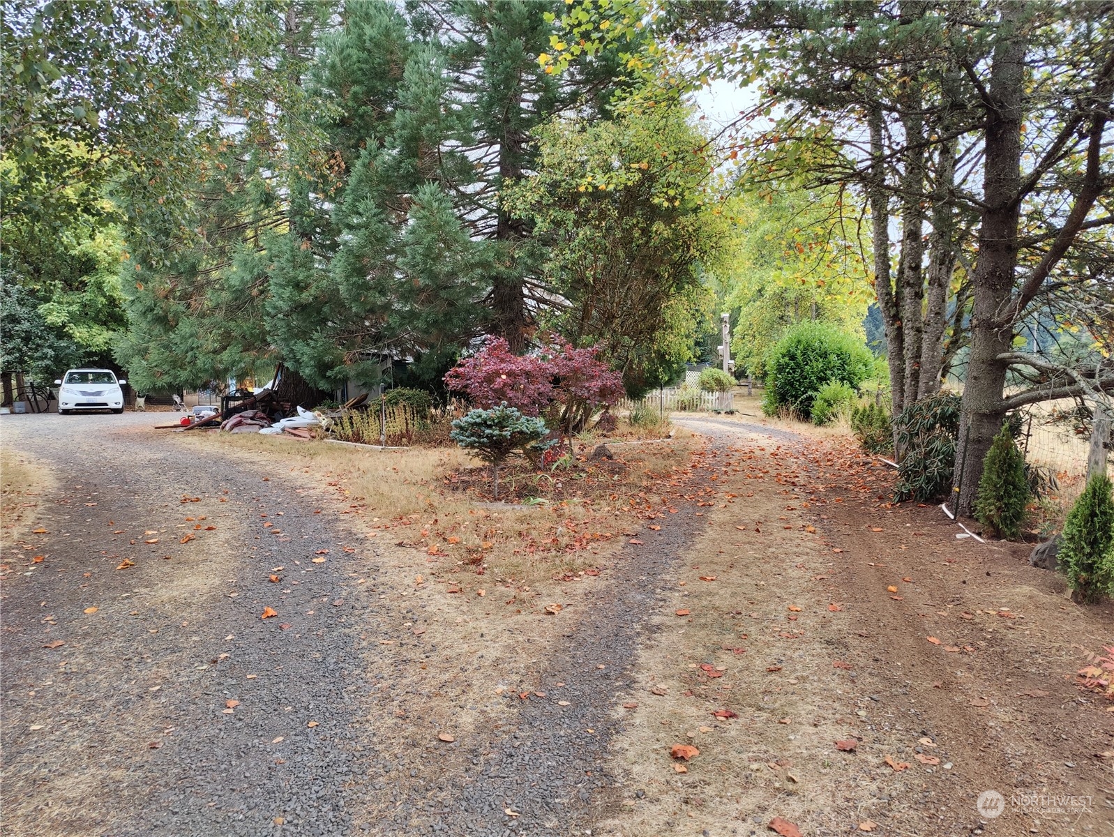 126 Reinseth Road Winlock, WA 98596 - Photo 5 of 33 a backyard of a house with table and chairs