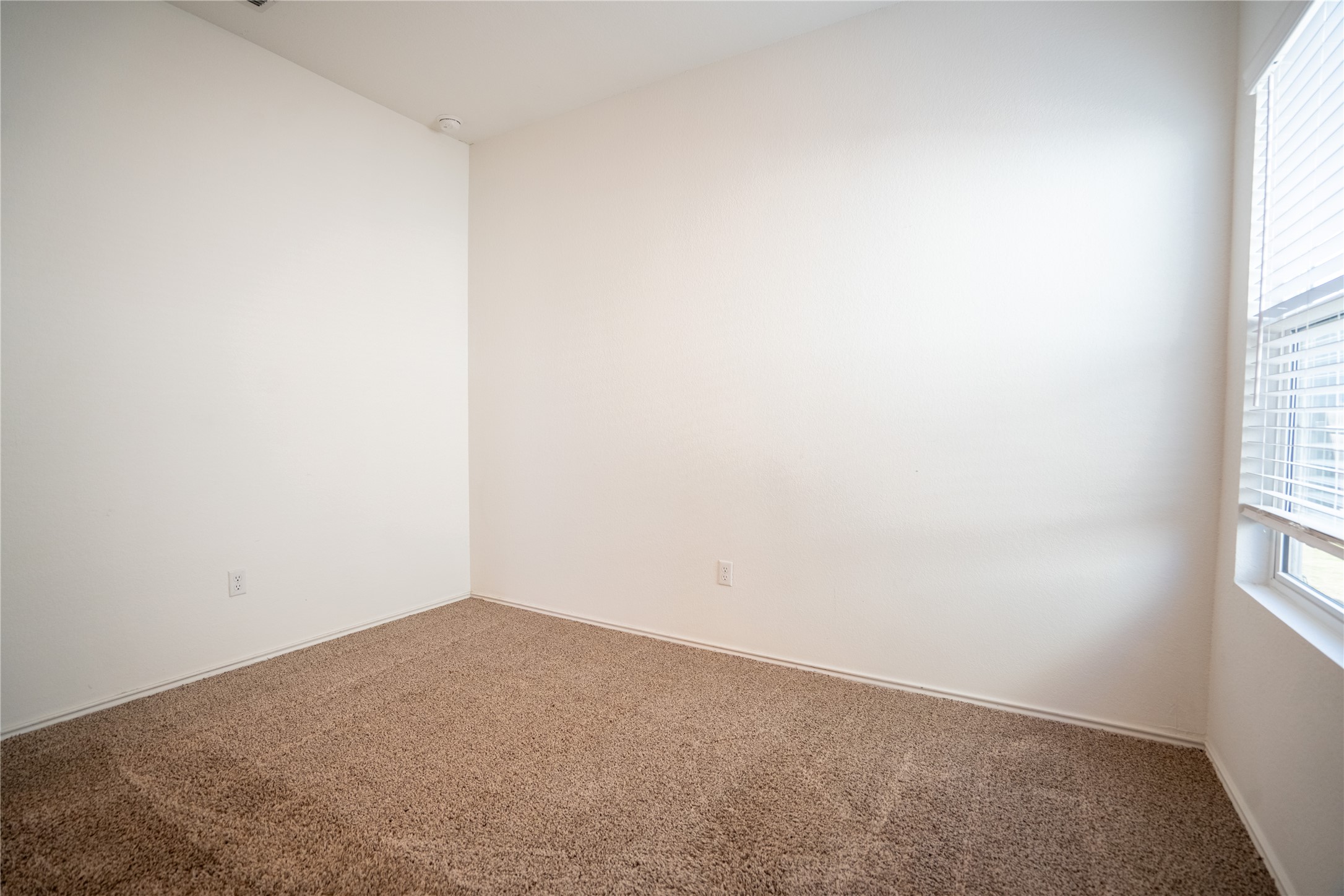 13400 Banquete Street Elgin, TX 78621 - Photo 23 of 29 Unfurnished room with carpet and baseboards
