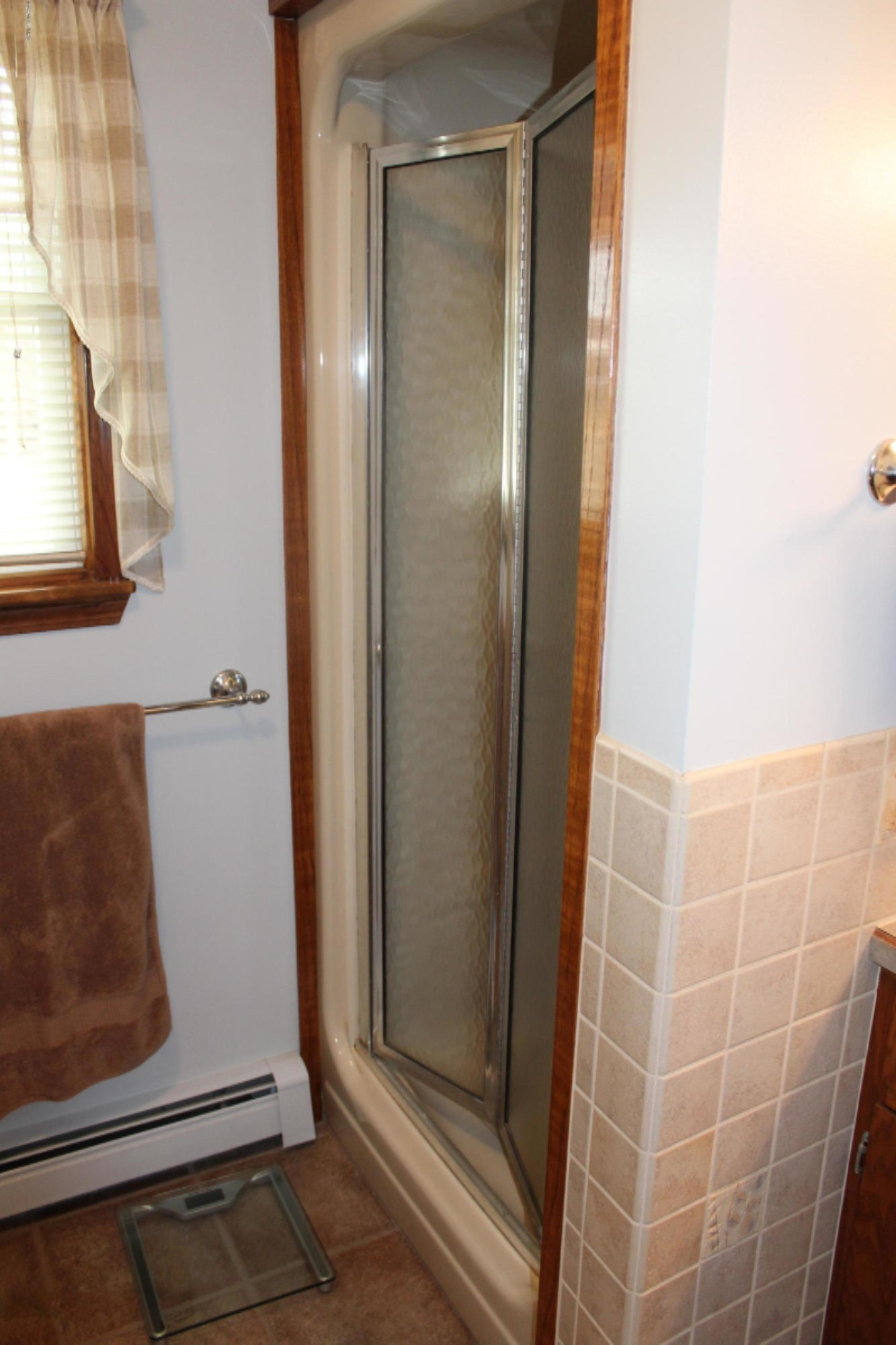7011 West County Farm Road Greenville, MI 48838 - Photo 21 of 59 Walk in Shower