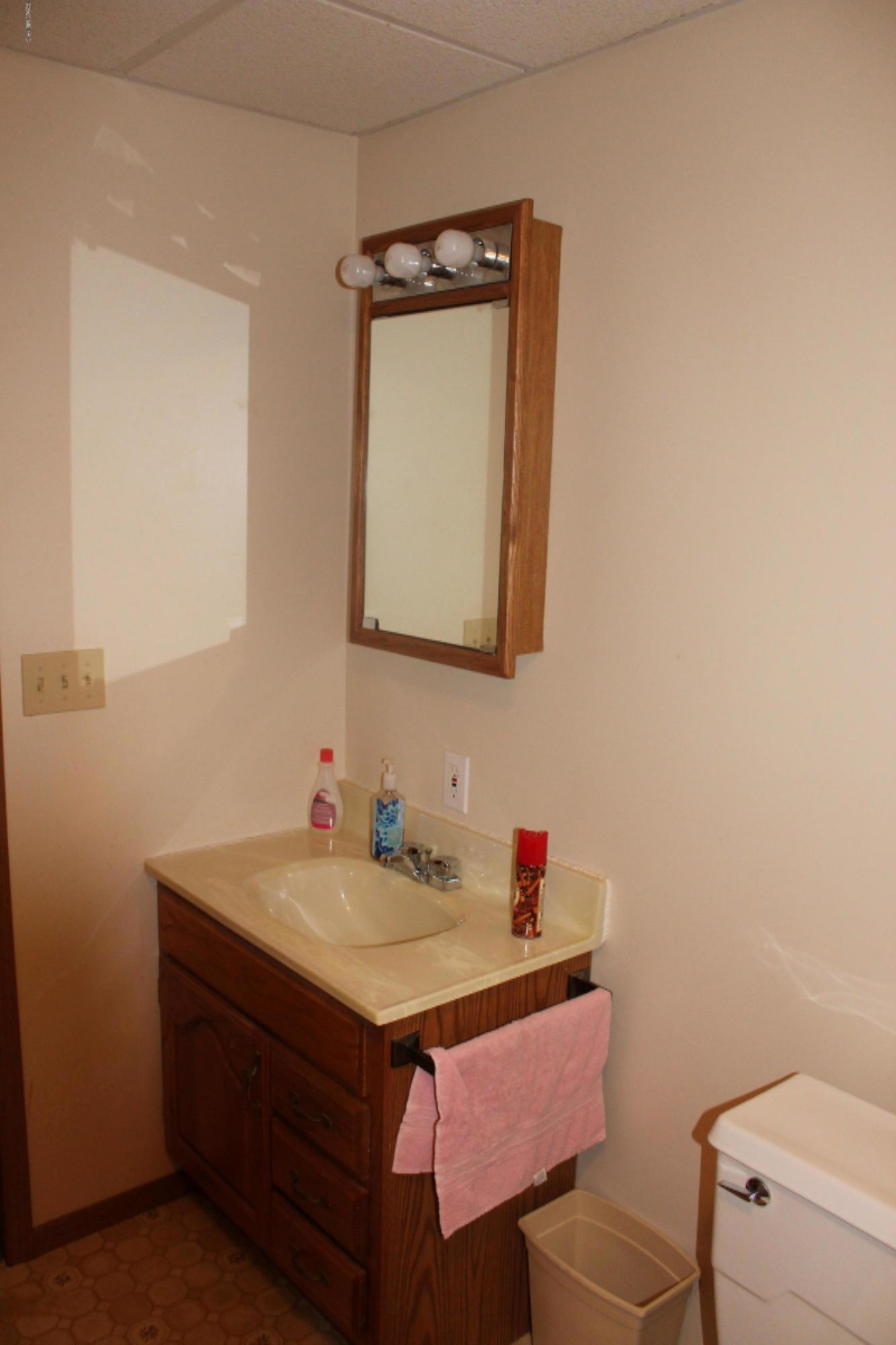 7011 West County Farm Road Greenville, MI 48838 - Photo 38 of 59 Full Bath in Basement