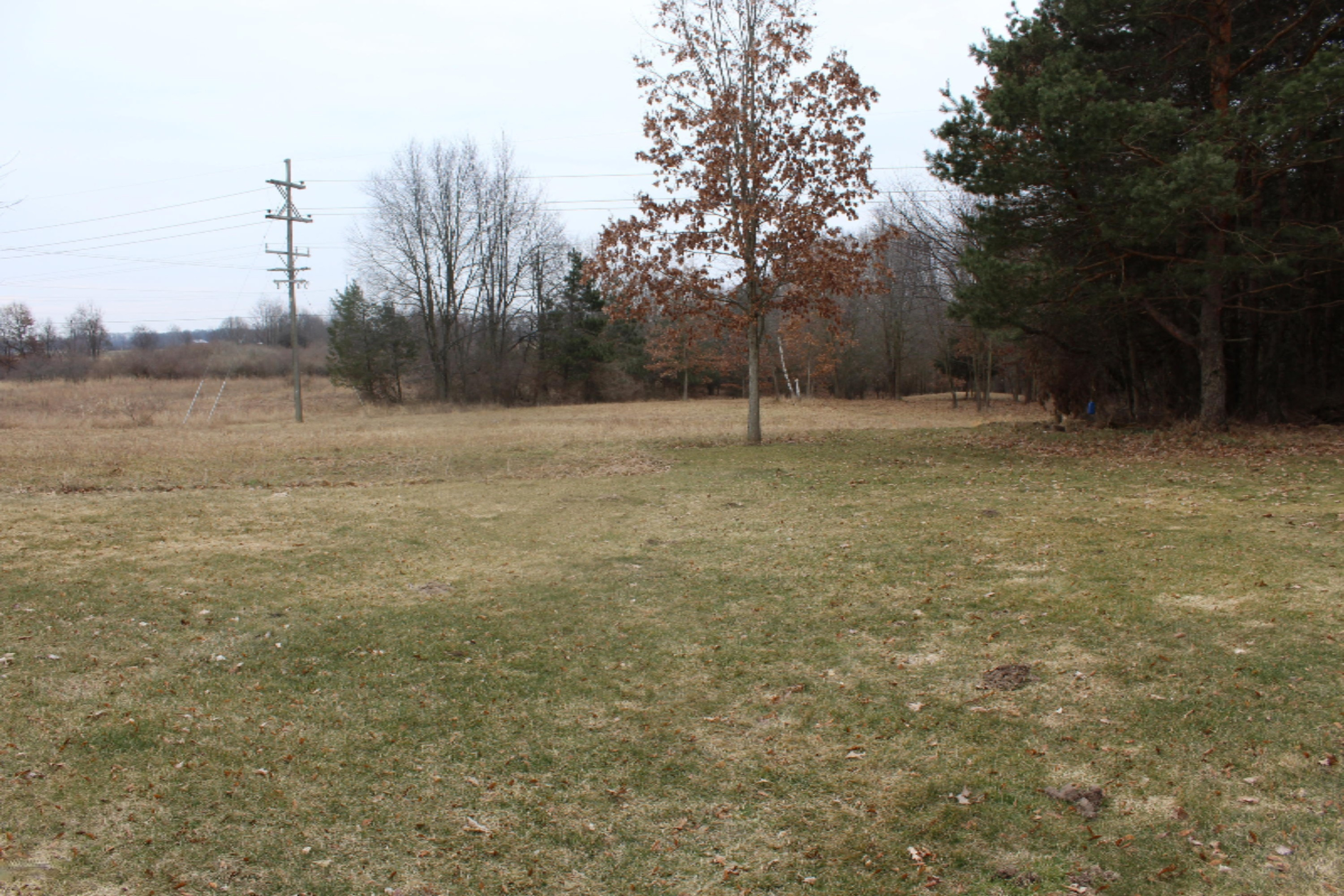 7011 West County Farm Road Greenville, MI 48838 - Photo 58 of 59 Acreage and wildlife!