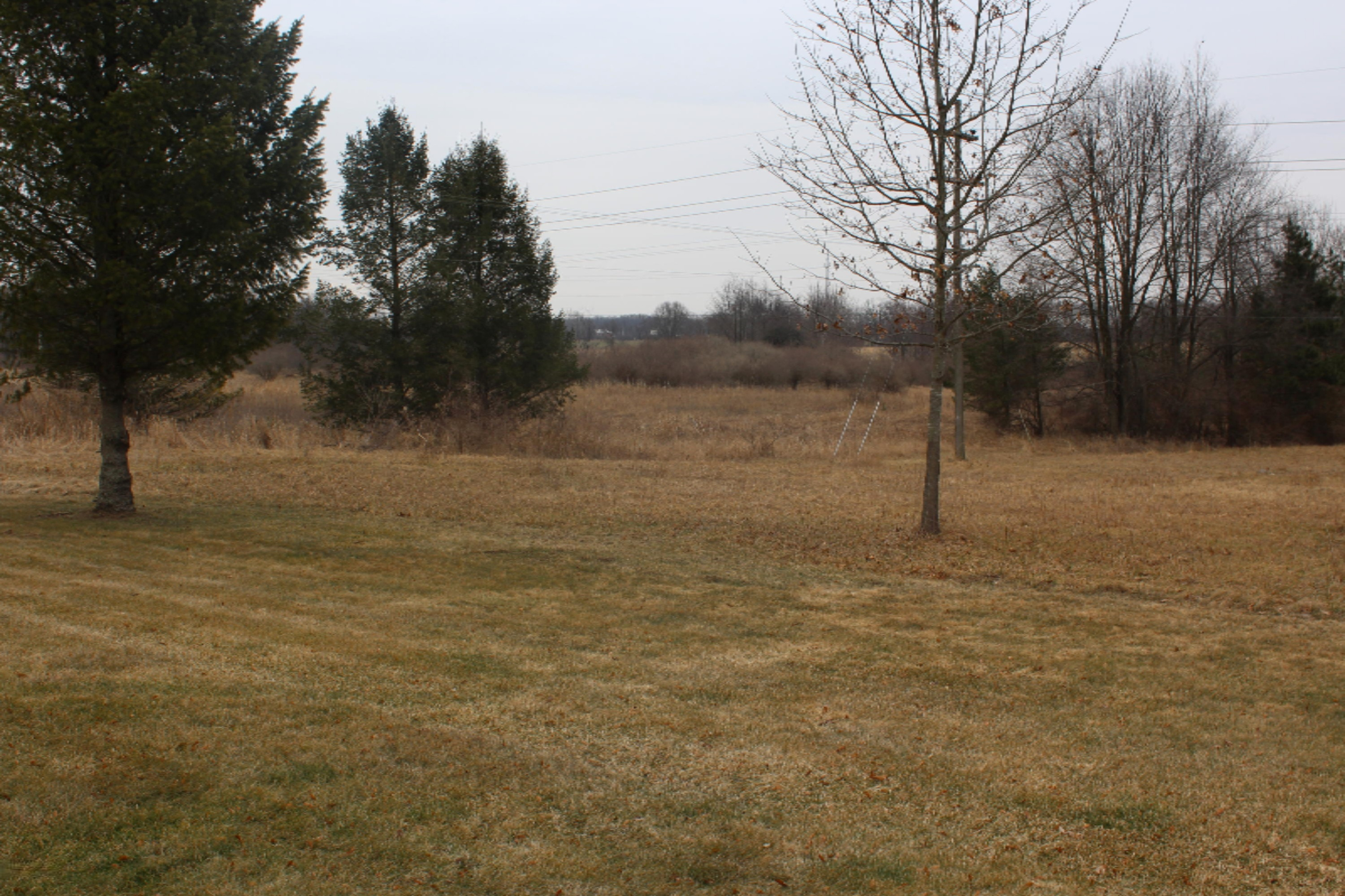 10.81 Acres
