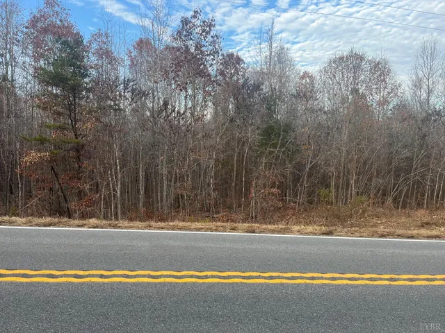 $70,000 | 0 Patrick Henry Highway, Phenix, VA 23959