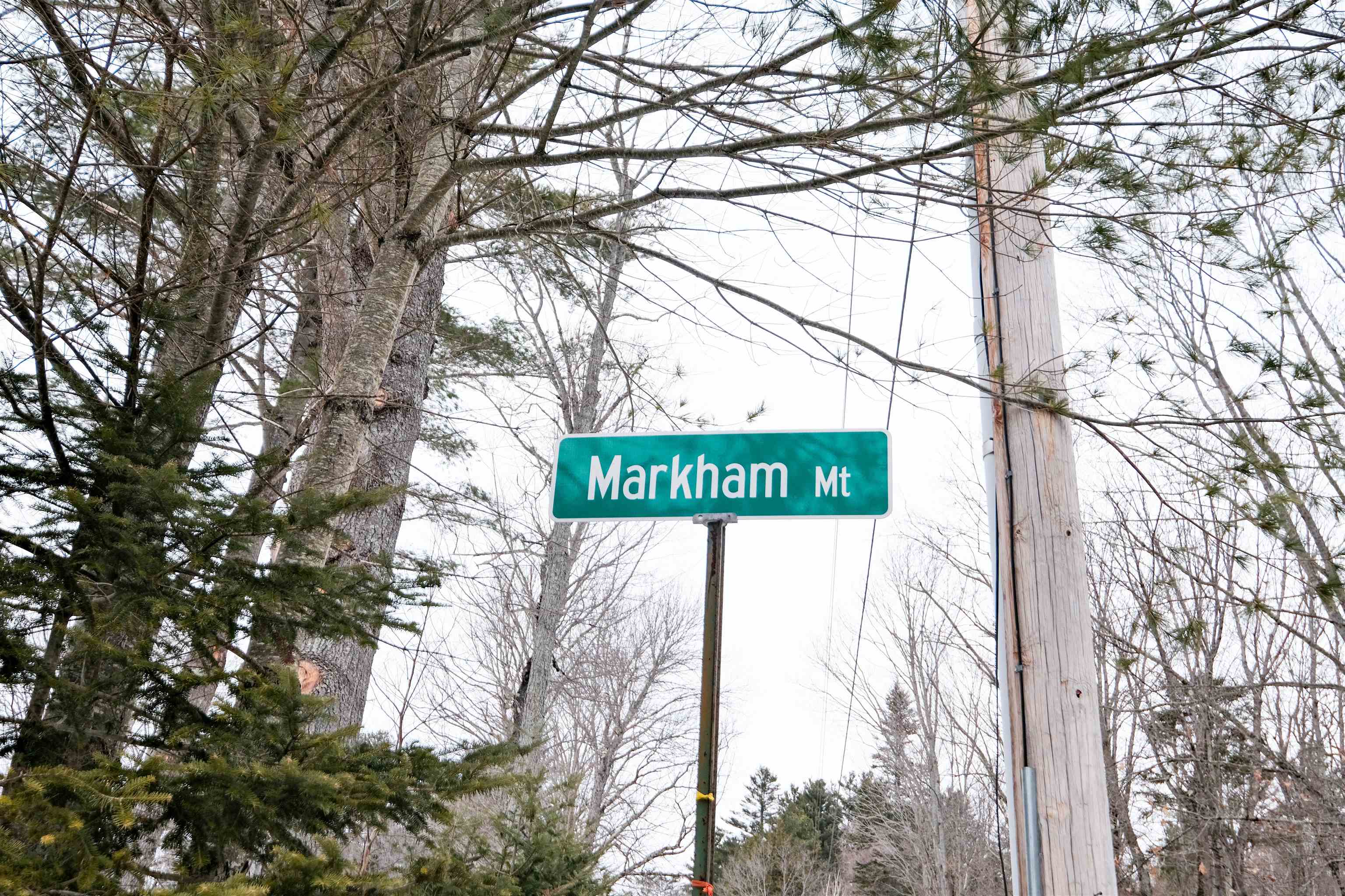 0 Markham Mountain Road Andover, VT 05143 - Photo 11 of 19