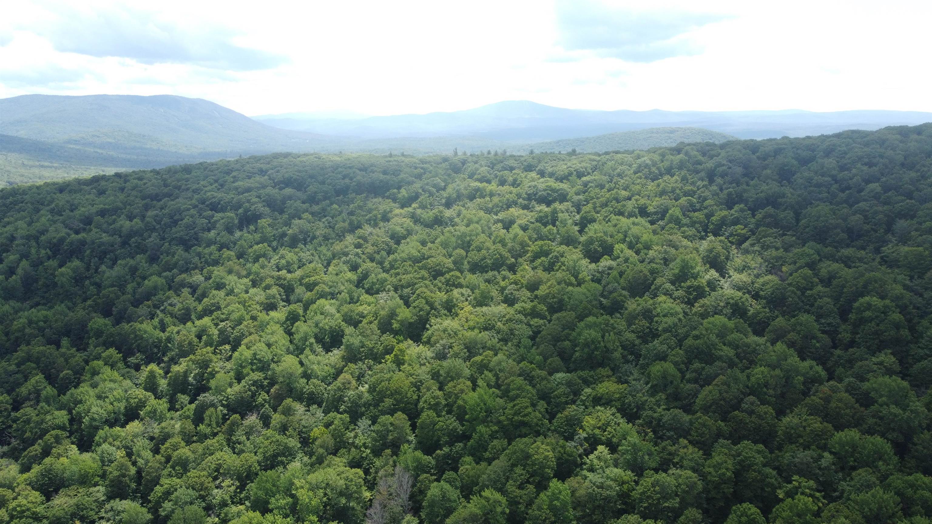 0 Markham Mountain Road Andover, VT 05143 - Photo 17 of 19