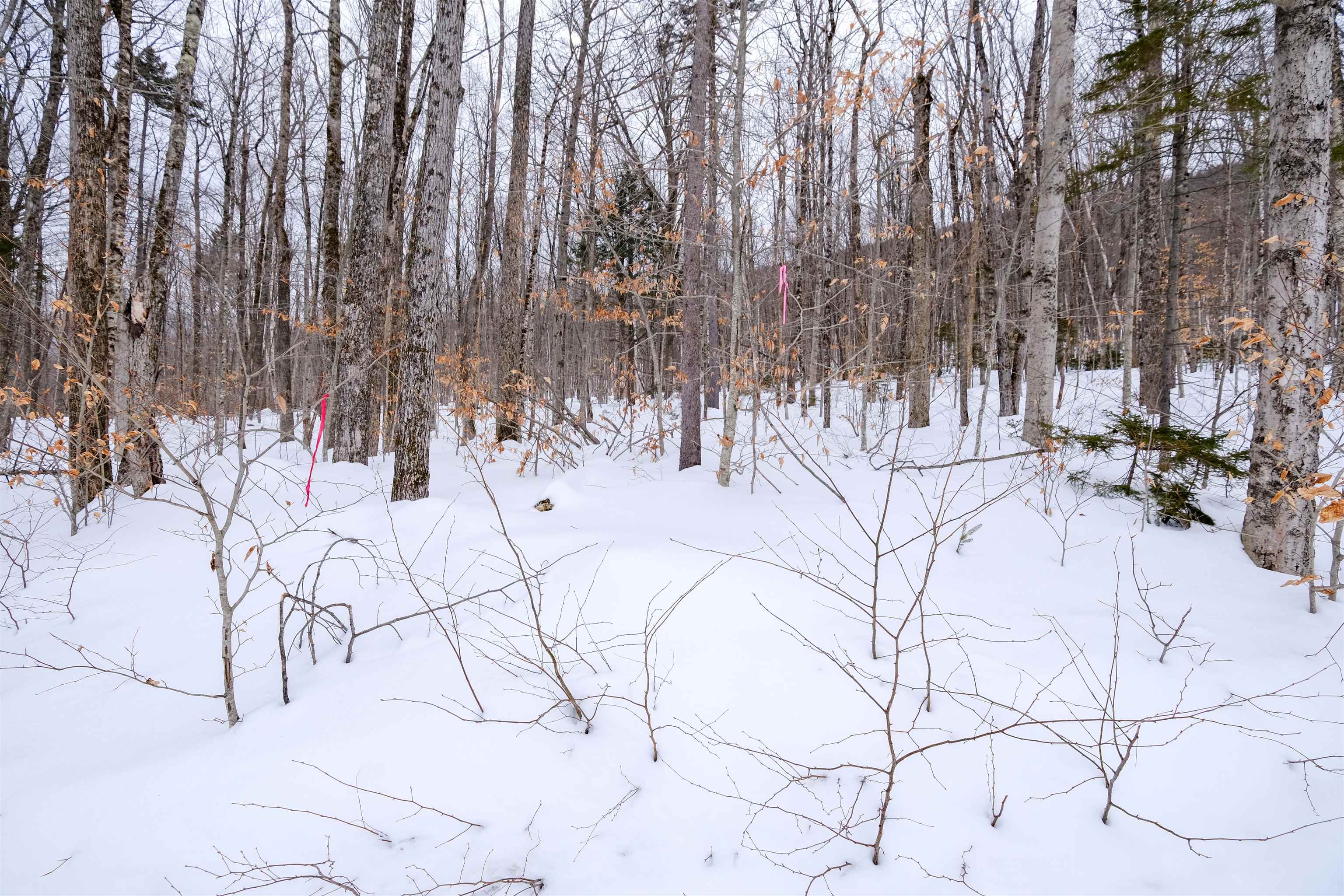 0 Markham Mountain Road Andover, VT 05143 - Photo 2 of 19
