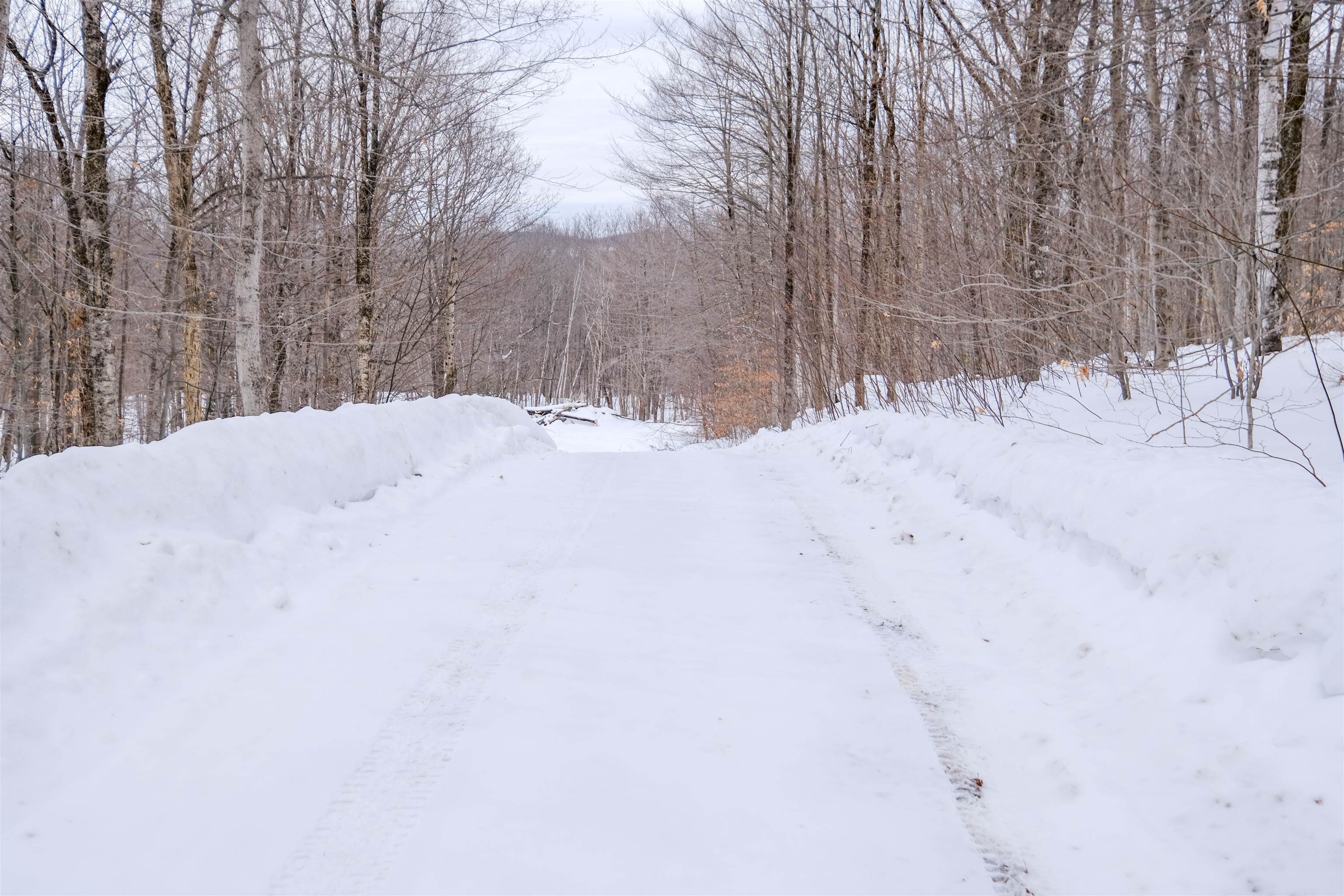 0 Markham Mountain Road Andover, VT 05143 - Photo 4 of 19