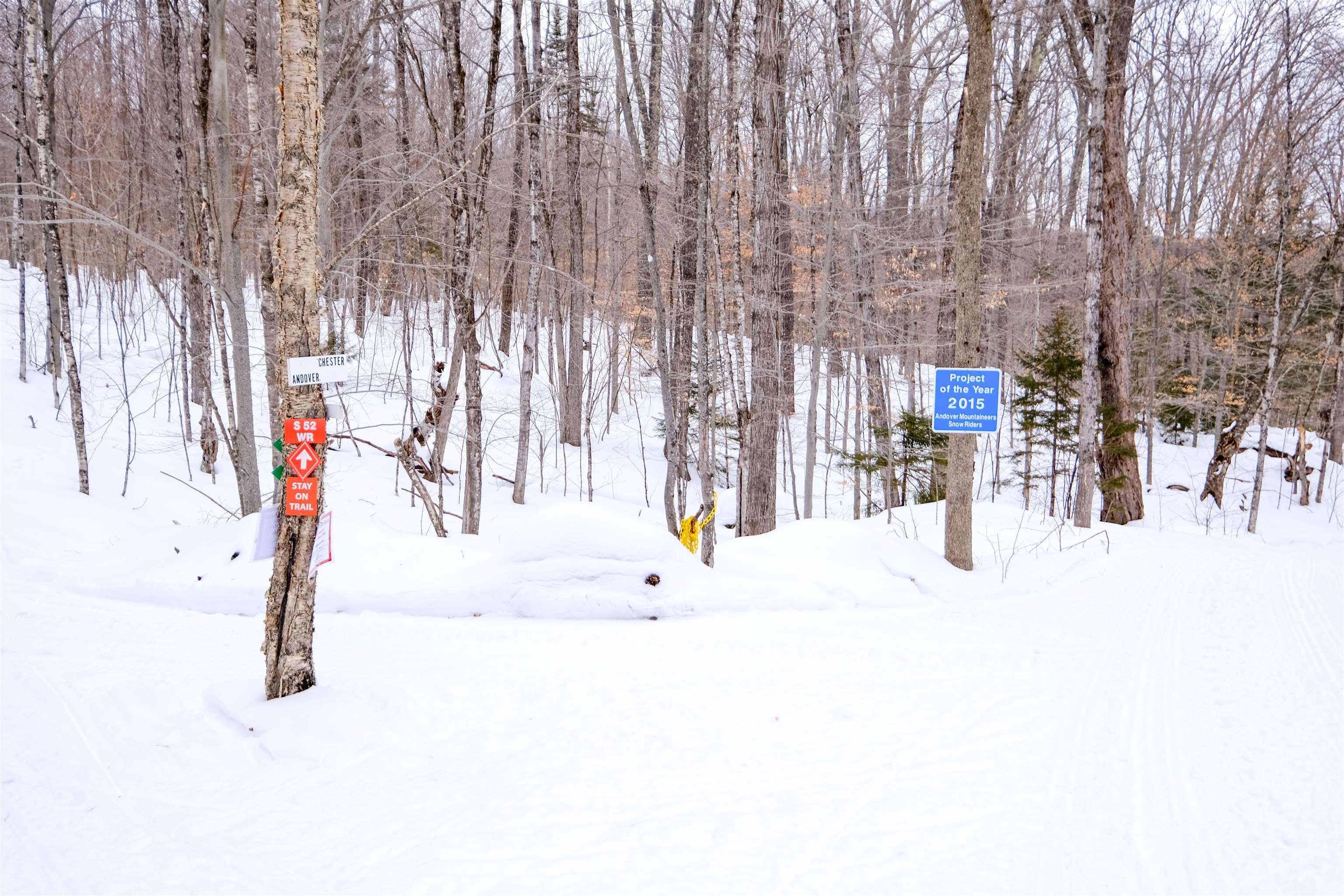 0 Markham Mountain Road Andover, VT 05143 - Photo 6 of 19