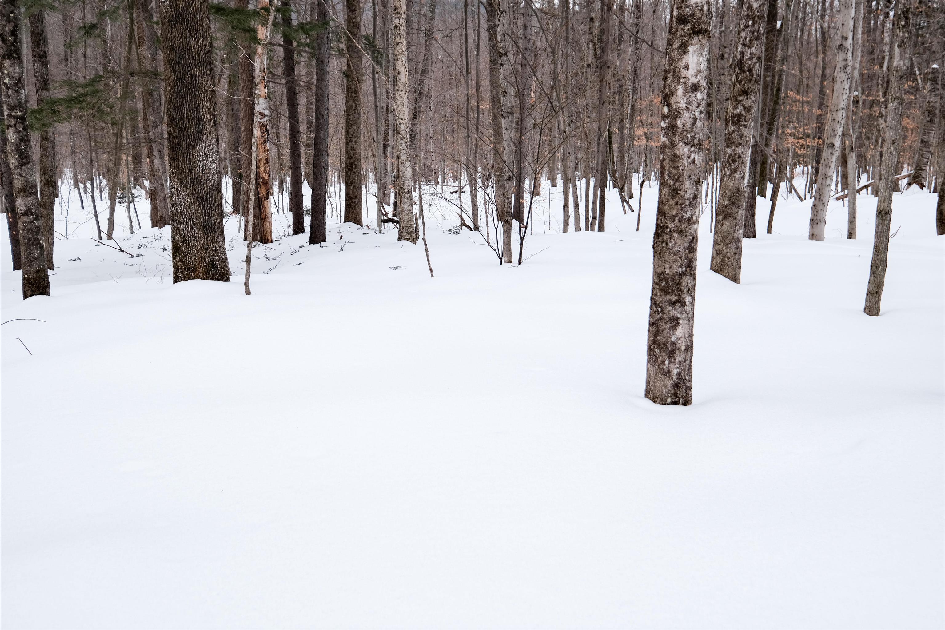 0 Markham Mountain Road Andover, VT 05143 - Photo 9 of 19