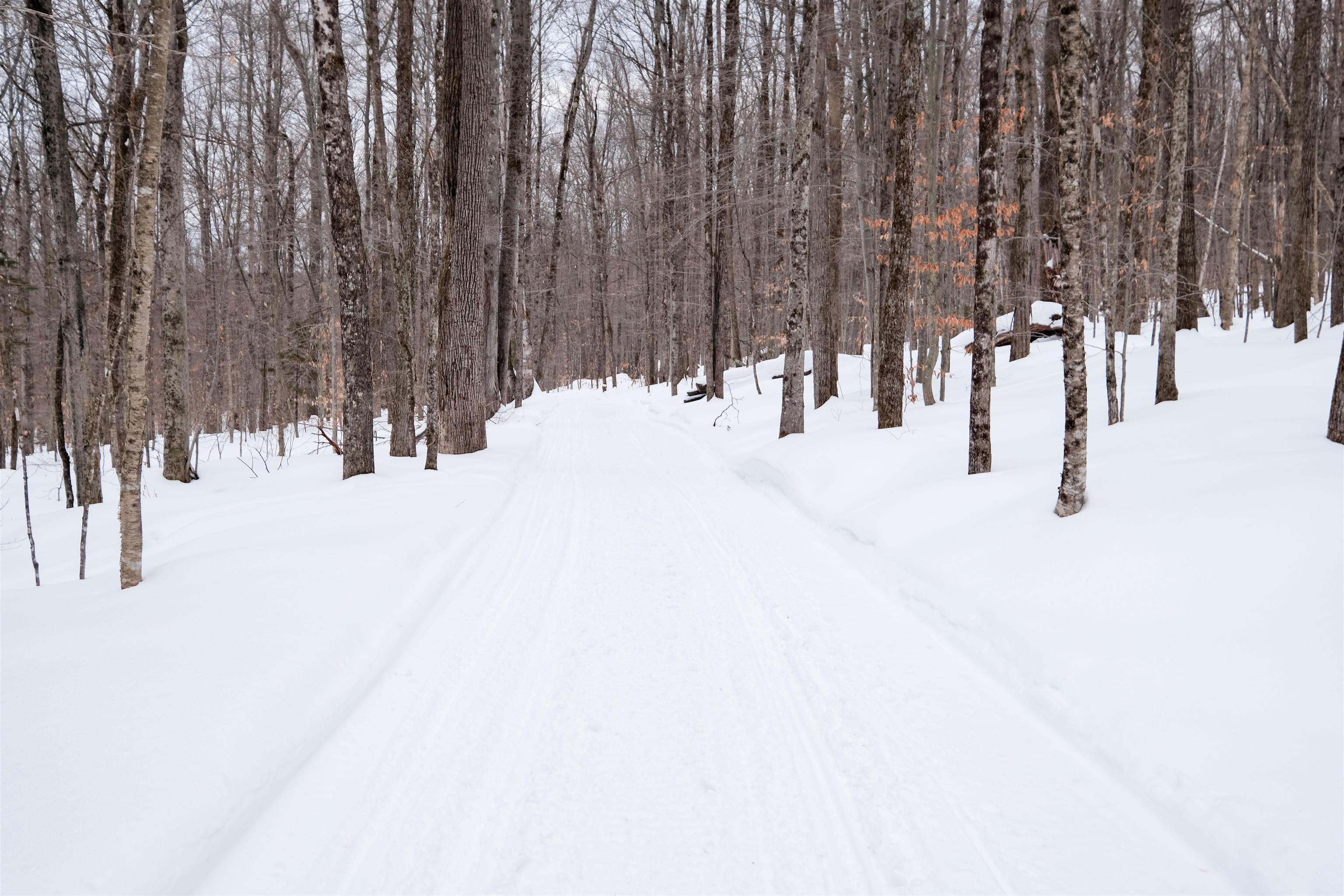 0 Markham Mountain Road Andover, VT 05143 - Photo 10 of 19