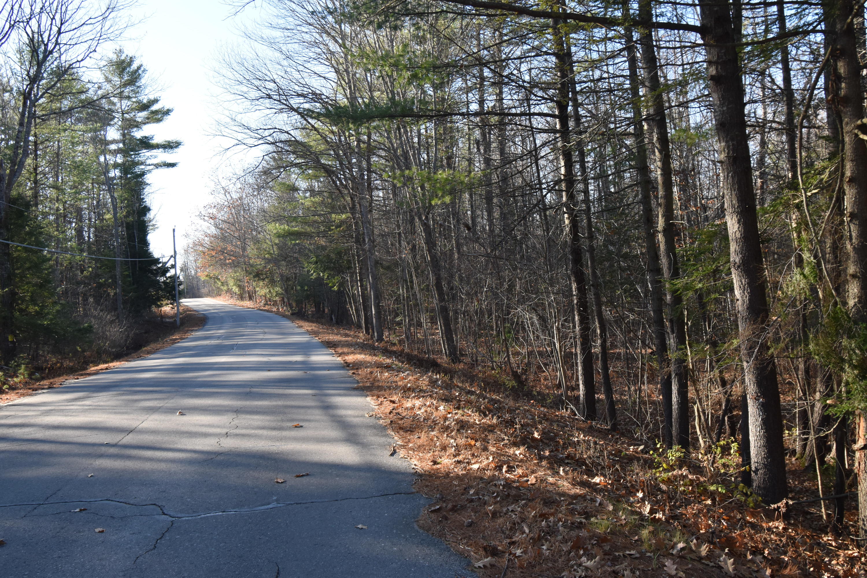 0 Lunts Hill Road Litchfield, ME 04350 - Photo 39 of 80 DSC_0868