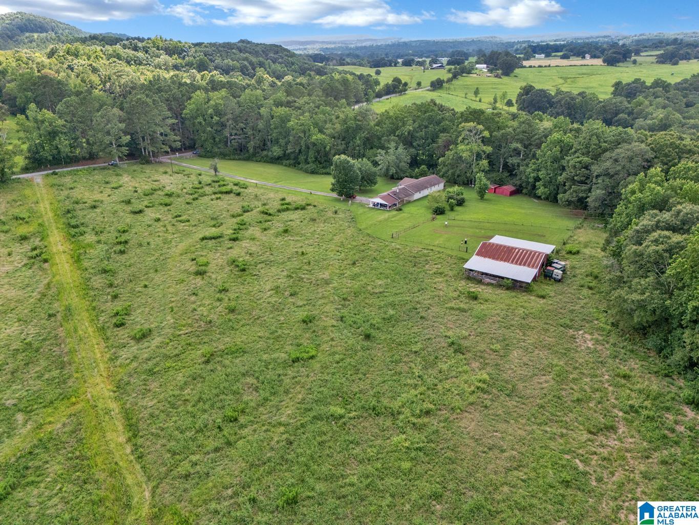 2627 Bend Road Blountsville, AL 35031 - Photo 39 of 53