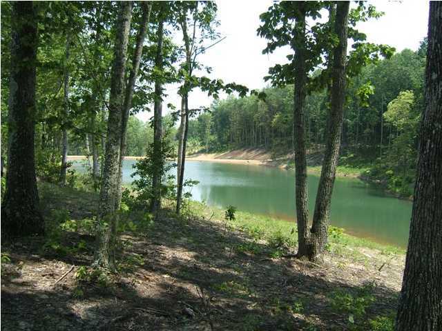 36 Jim Stewart Road Dunlap, TN 37327 - Photo 4 of 12 Additional Photo