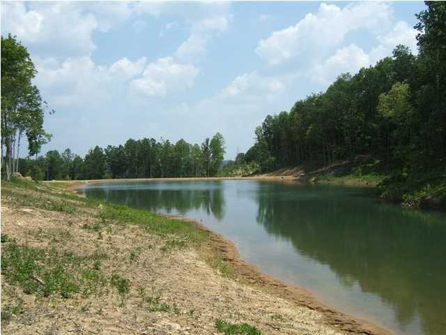 36 Jim Stewart Road Dunlap, TN 37327 - Photo 7 of 12 Additional Photo