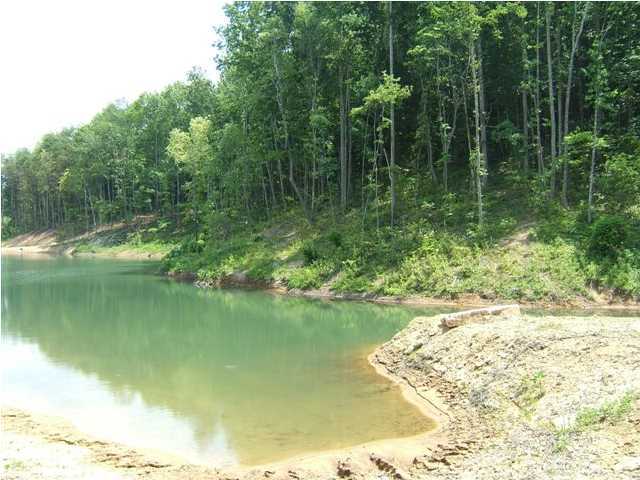 36 Jim Stewart Road Dunlap, TN 37327 - Photo 8 of 12 Additional Photo