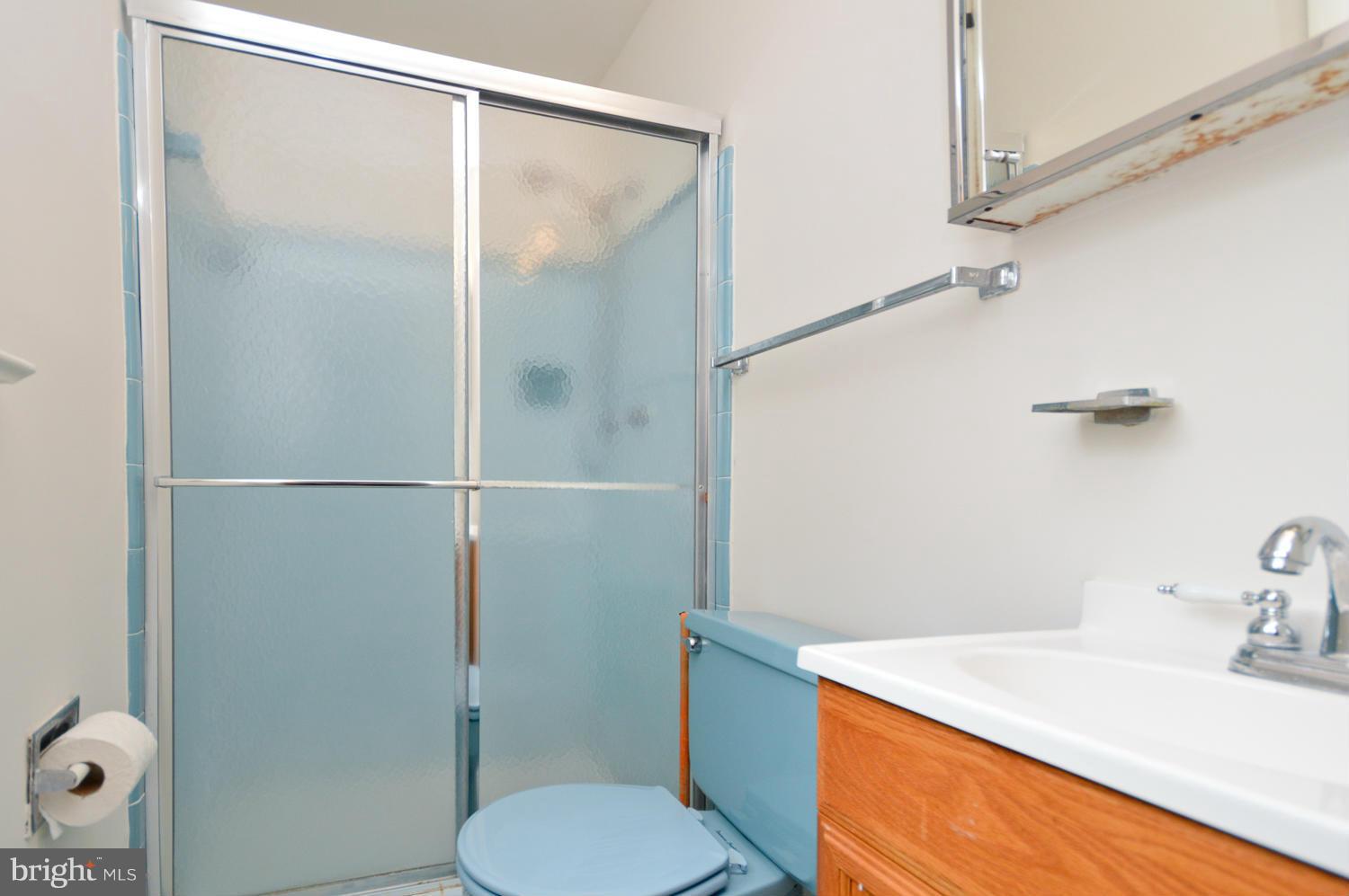 13127 Buccaneer Road Silver Spring, MD 20904 - Photo 13 of 23 Bath (Master)