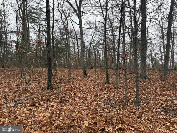 $75,000 | 0 White Pine Lane, Winchester, VA 22602