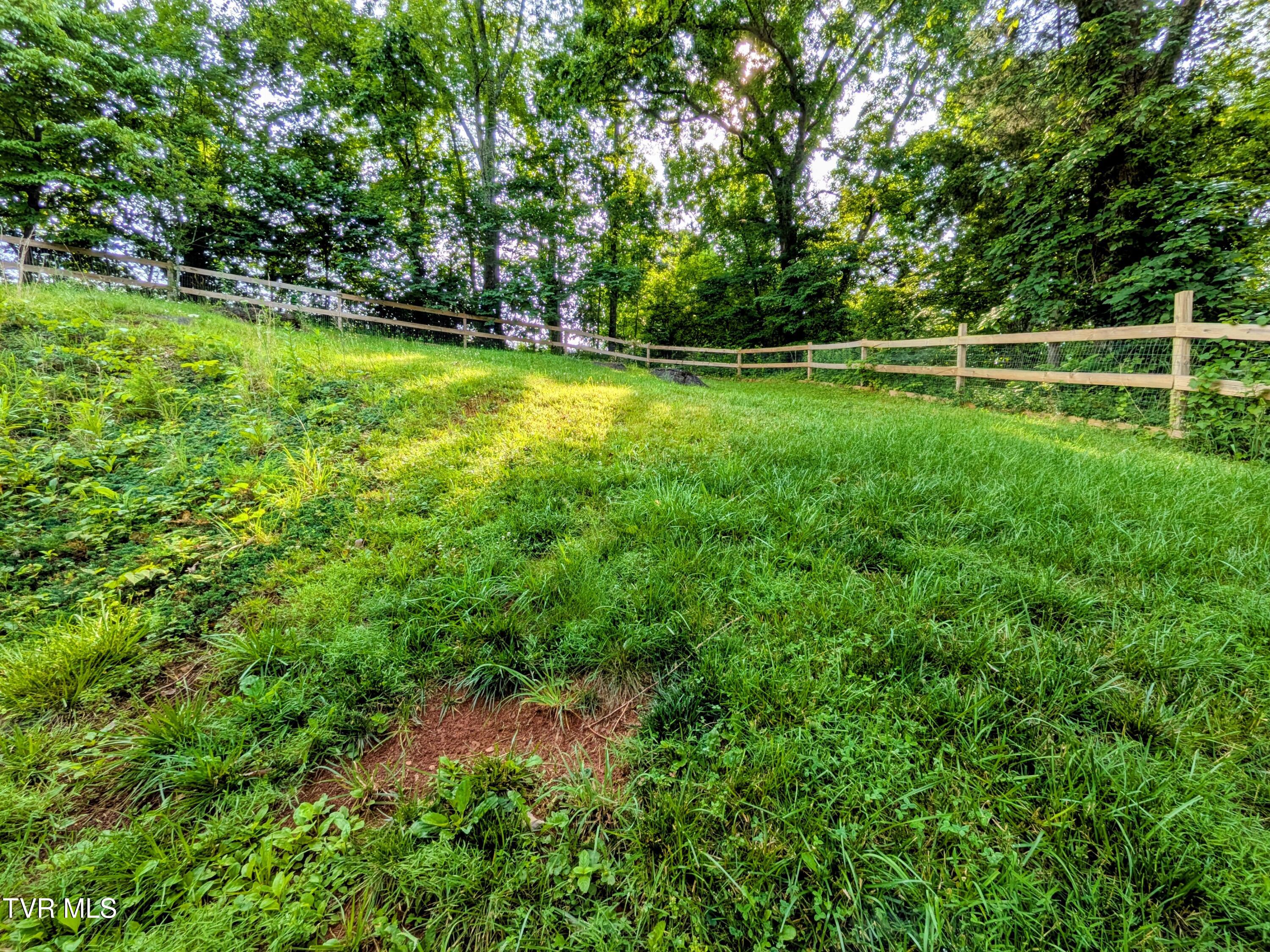 113 Nave Hollow Road Elizabethton, TN 37643 - Photo 90 of 91 Yard(1)